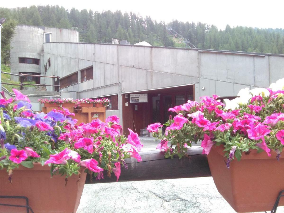 Soldanella Cervinia Apartment Vda Vacanze In Vetta Cir 0253 Breuil-Cervinia Exterior foto